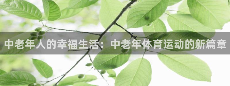 中老年人的幸福生活：中老年体育运动的新篇章