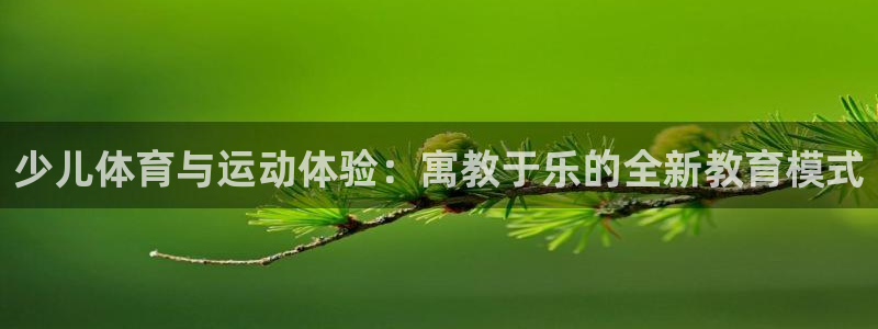 少儿体育与运动体验：寓教于乐的全新教育模式