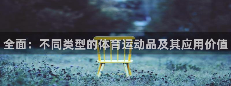 全面：不同类型的体育运动品及其应用价值