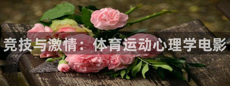 竞技与激情：体育运动心理学电影